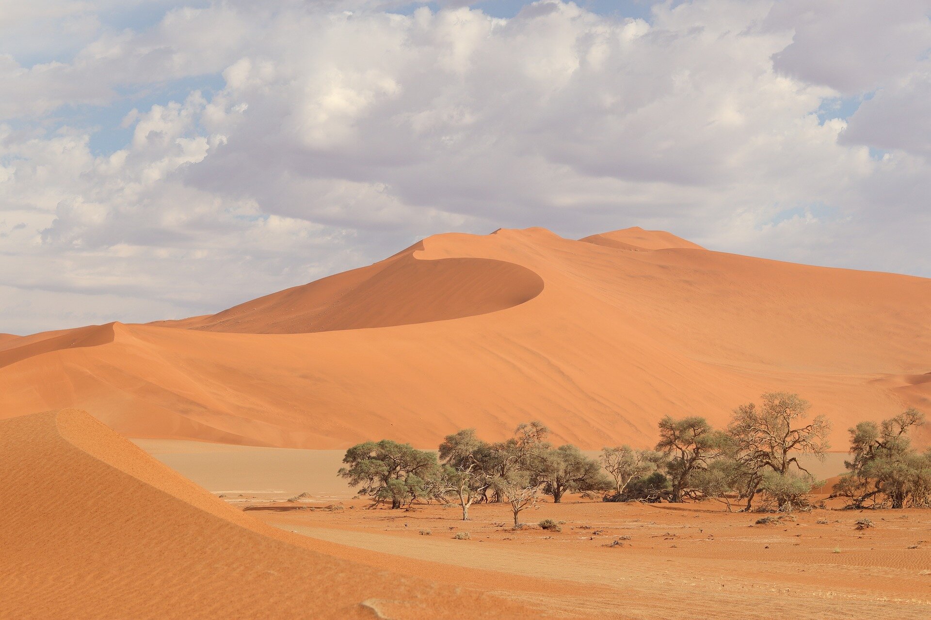 La Namibie enregistre le premier cas du choléra en près d'une décennie