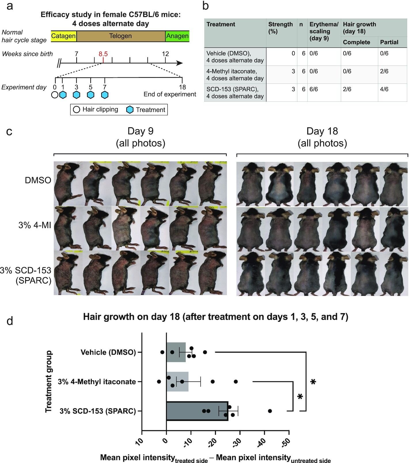 Les scientifiques sont sur la bonne voie pour trouver un traitement pour la perte de cheveux auto-immunes