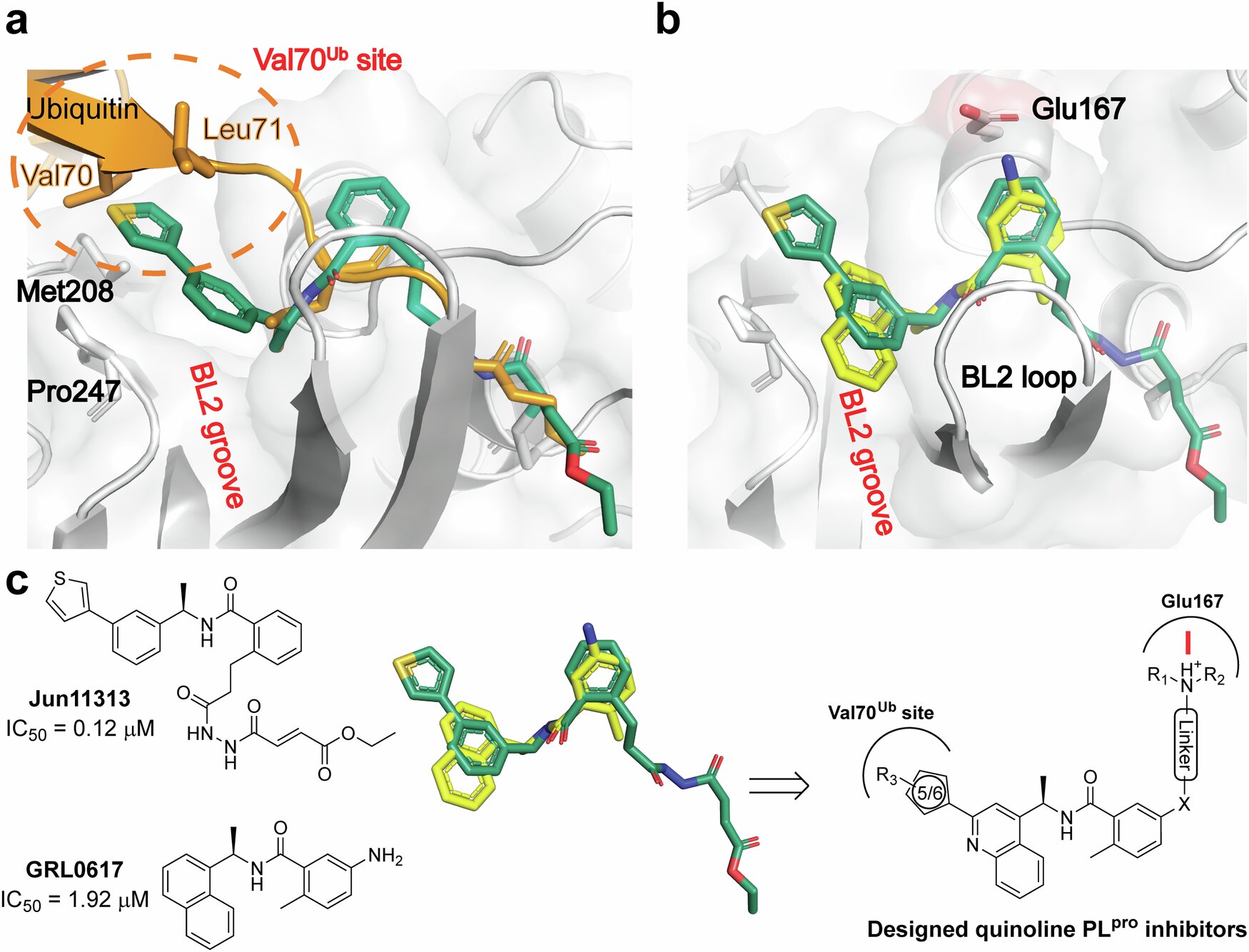 Le nouveau médicament Covid-19 montre une plus grande promesse contre les souches virales résistantes