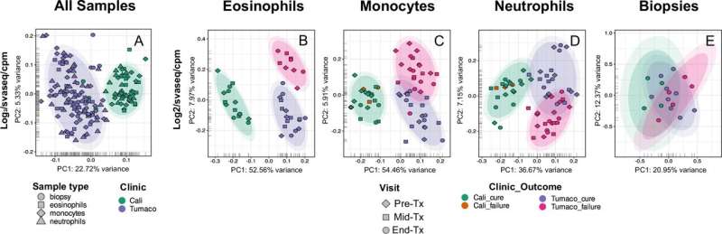 Les biomarqueurs aident à prédire le succès du traitement des maladies de la peau parasite