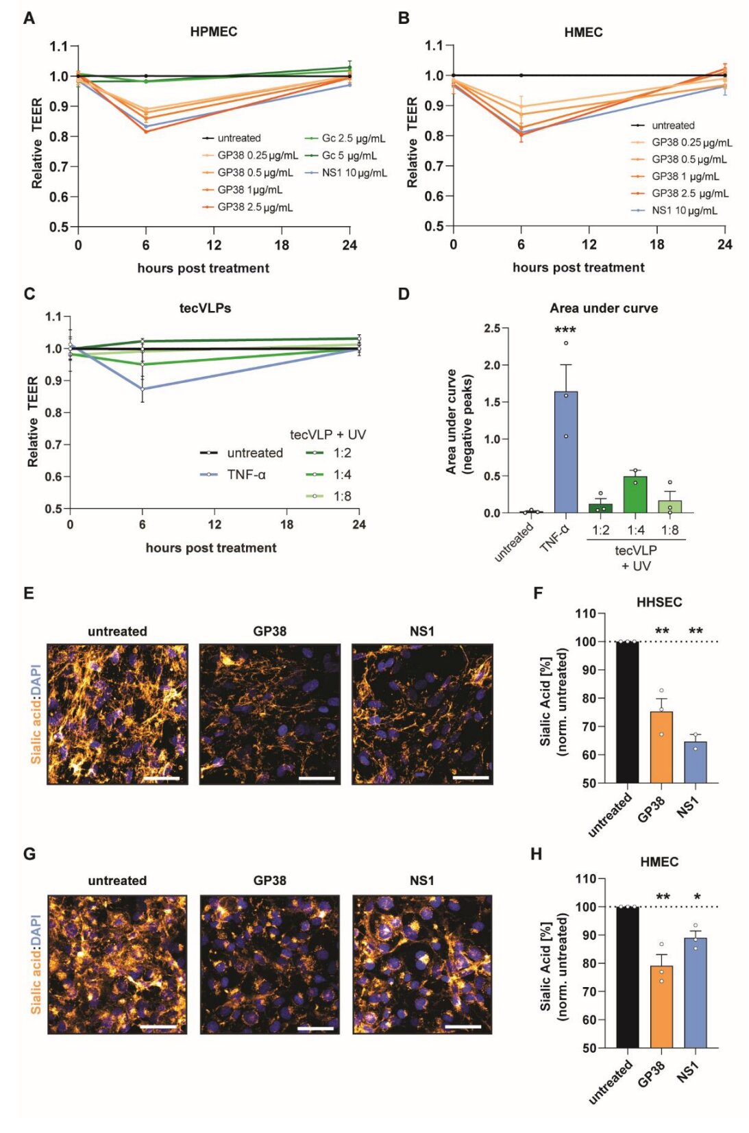 Comment la glycoprotéine GP38 du virus de la fièvre hémorragique de Crimée pourrait faire progresser les thérapies anticorps monoclonales