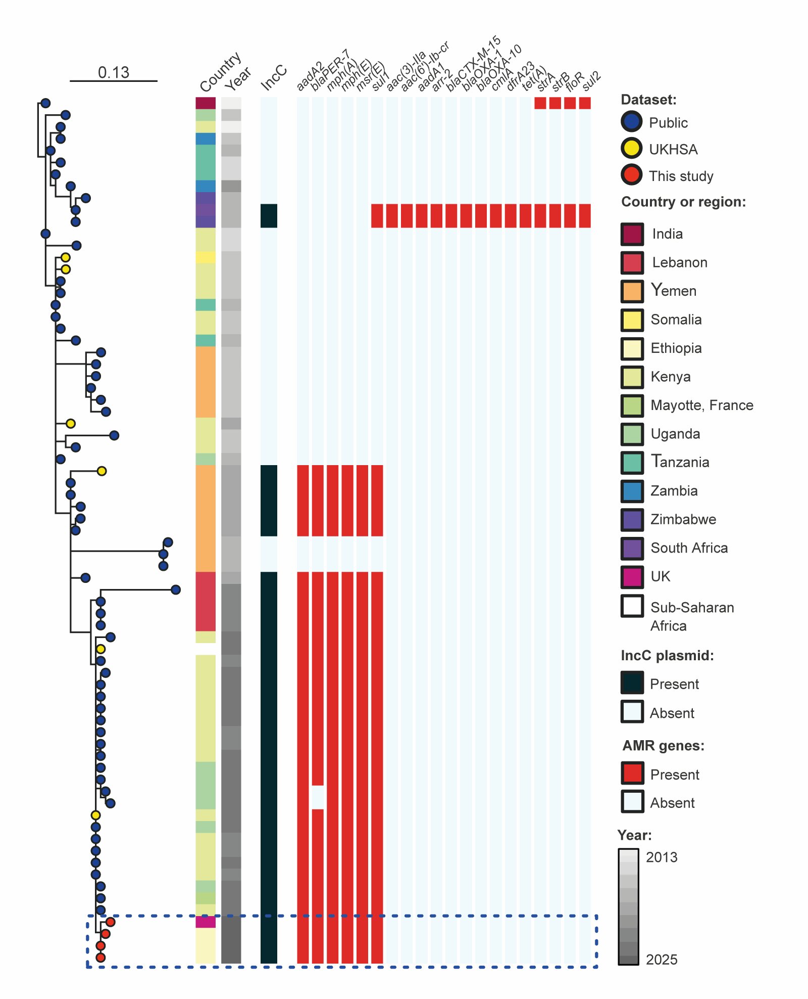 Les patients atteints de choléra multirésistante dans l'UE sont liés à l'exposition à l'eau bénite contaminée de l'Éthiopie