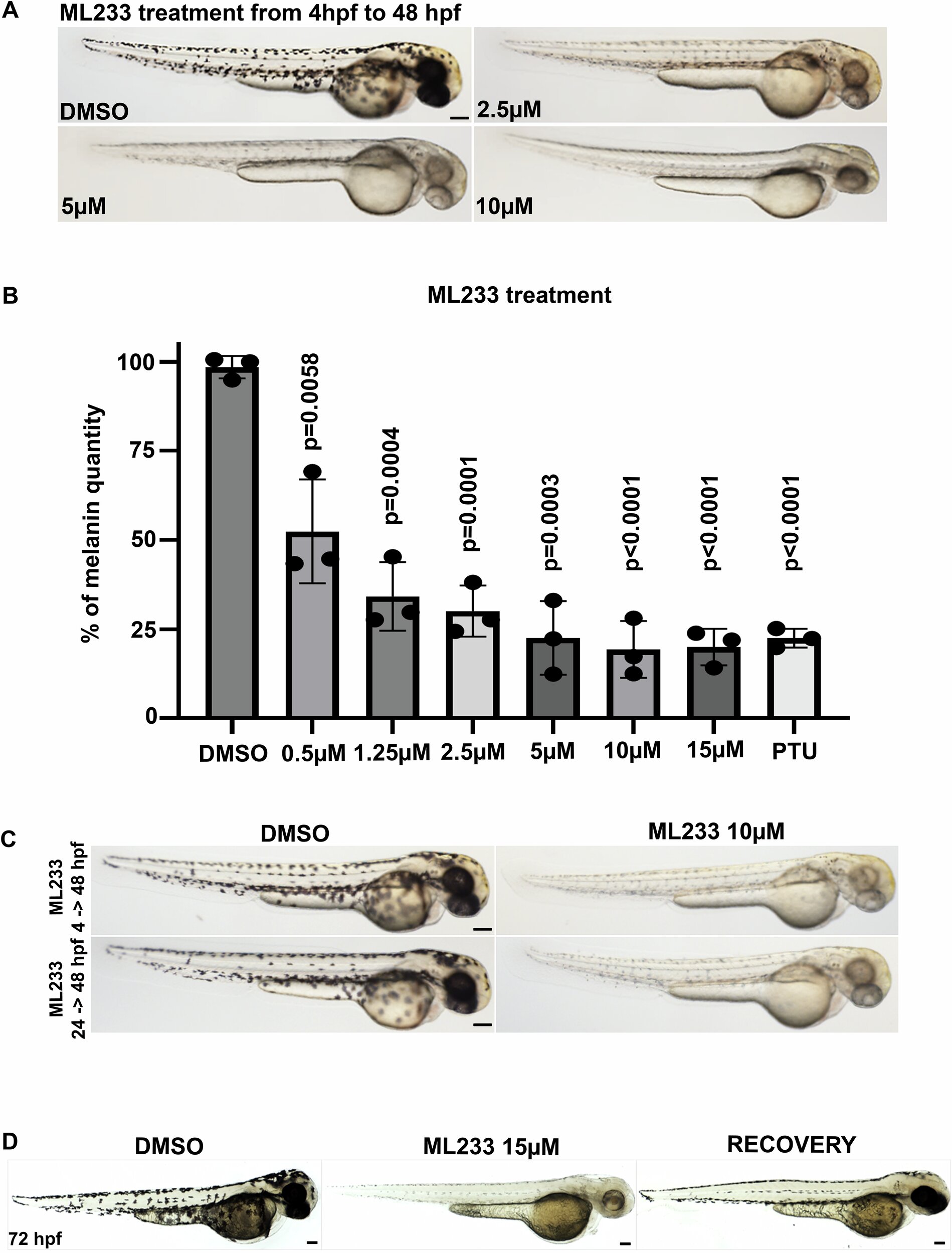Le composé innovant ML233 cible la production de mélanine, le pavage des thérapies cutanées plus sûres
