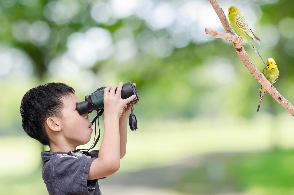 Célébrer le Jour de la Terre: 9 mangeoires d'oiseaux faciles à faire avec vos enfants