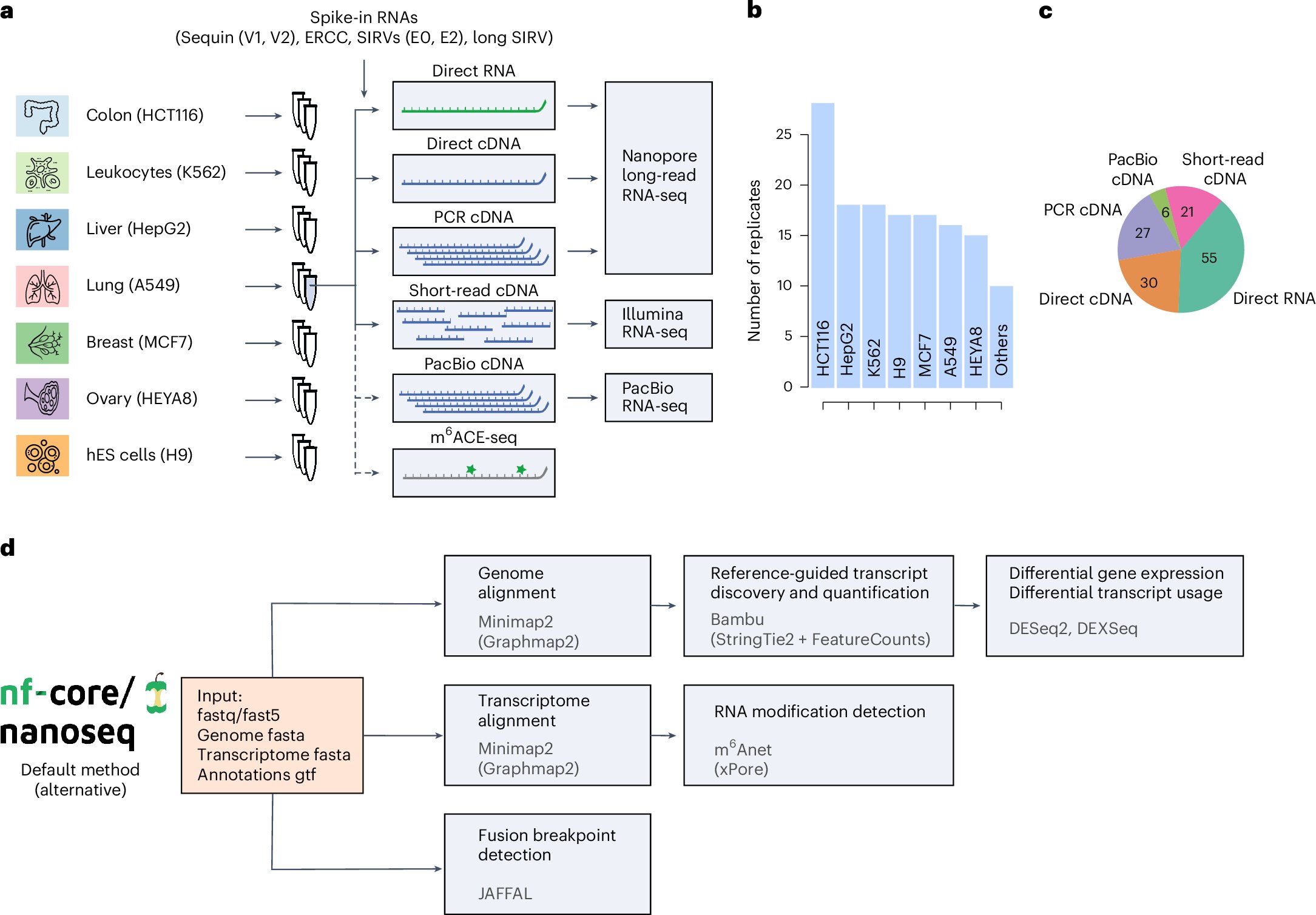 L'ensemble de données ARN à longue lecture offre 750 millions de lectures sur 14 lignées cellulaires humaines pour une étude de maladie