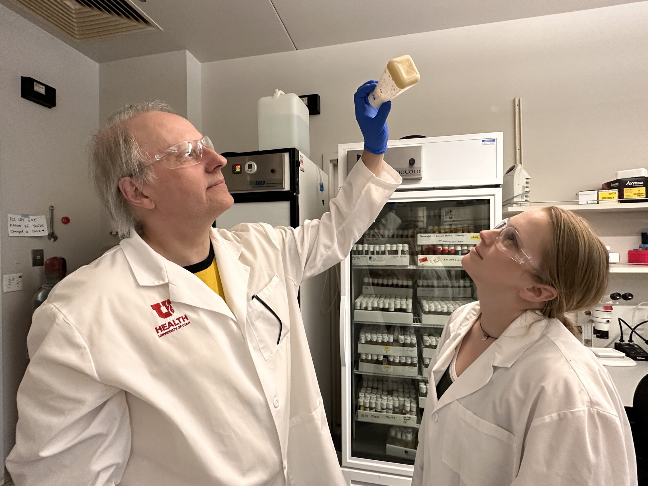 Les mouches des fruits sur la cocaïne pourraient révéler de meilleures thérapies pour la dépendance