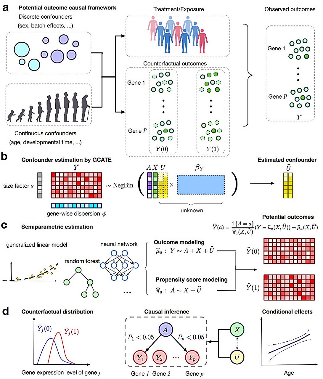 L'outil aide les scientifiques à repérer la source de maladies neurologiques avec des statistiques et de la science des données