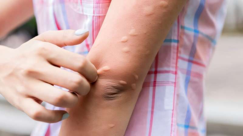 Les cas de chikungunya surgeaient six fois dans le sud de la ville de Chine dans une semaine