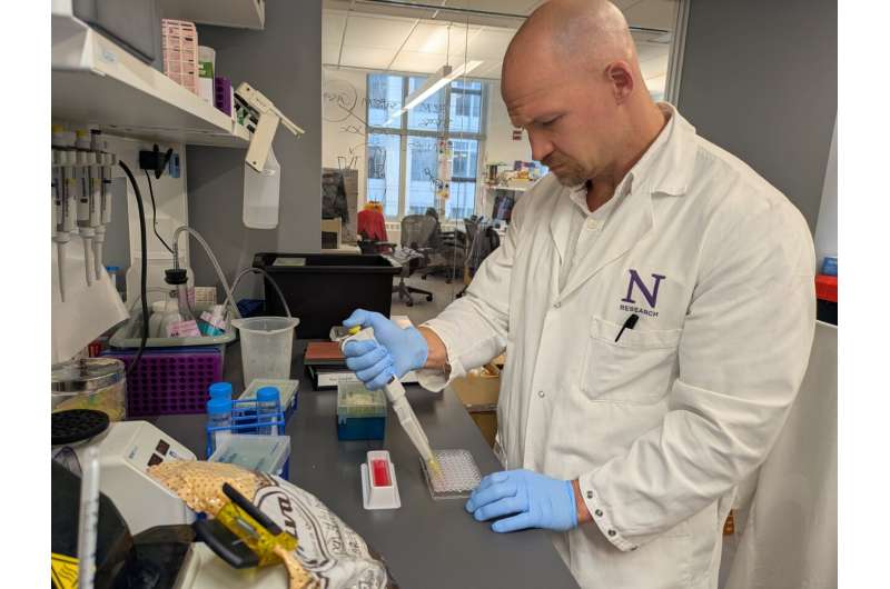 Médicament d'asthme Zileuton bloque les réactions d'allergies alimentaires chez la souris