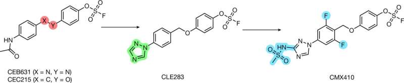 Progression des analogues clés de la série à base de fluorosulfate aryle ciblant MTB PKS13-AT. Crédit: Nature (2025). Doi: 10.1038 / s41586-025-09286-3 Les chercheurs identifient les nouveaux composés prometteurs pour traiter la tuberculose