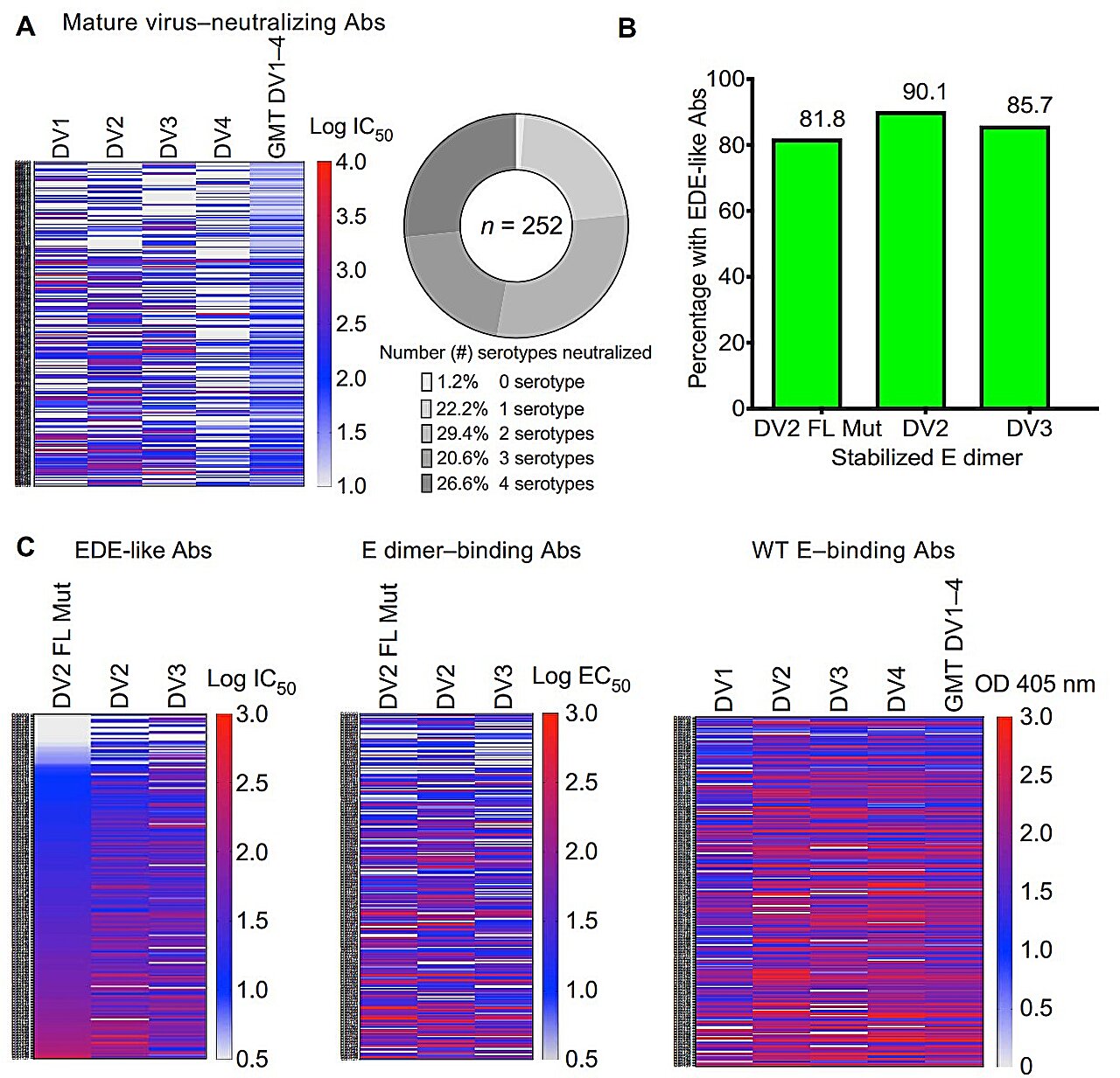 Les systèmes immunitaires des enfants révèlent de nouvelles cibles d'anticorps pour le développement des vaccins de la dengue