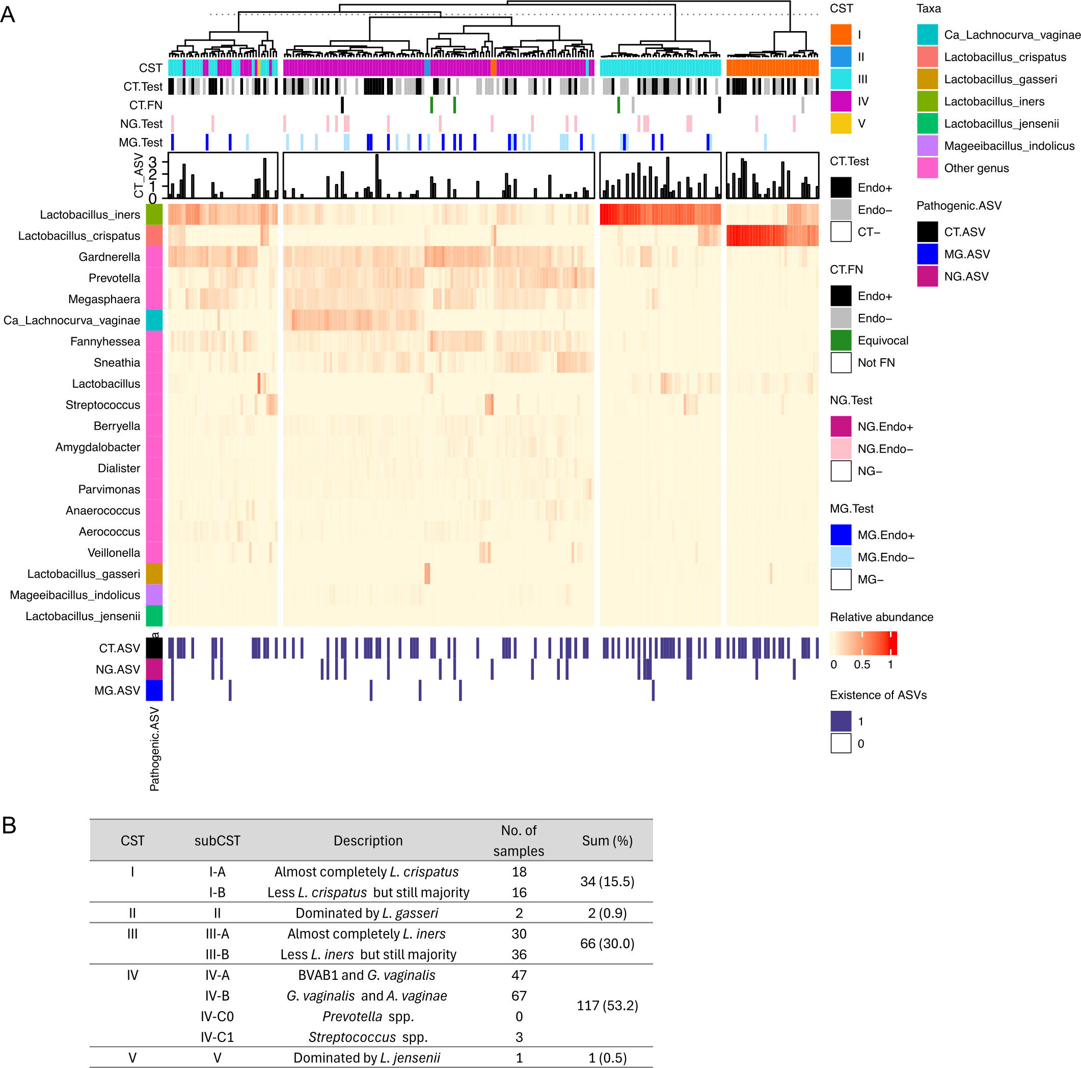 L'étude recherche des marqueurs qui prédisent le risque d'infection sévère de chlamydia