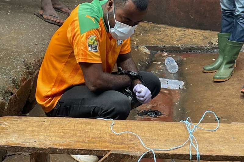 Le personnel de laboratoire de Côte d'Ivoire a mis en place un échantillon passif de ruissellement d'eau du nettoyage de la volaille sur un marché urbain. Crédit: Daniele Lantagne La surveillance des eaux usées peut-elle fonctionner sans égouts?