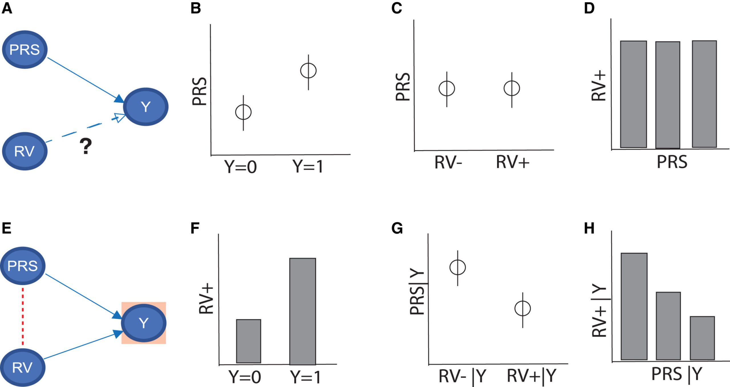 L'outil statistique révèle des voies génétiques cachées dans des maladies complexes