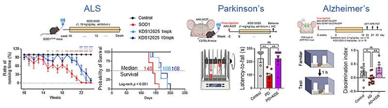 Hémoglobine repensée: une percée dans le traitement des maladies cérébrales