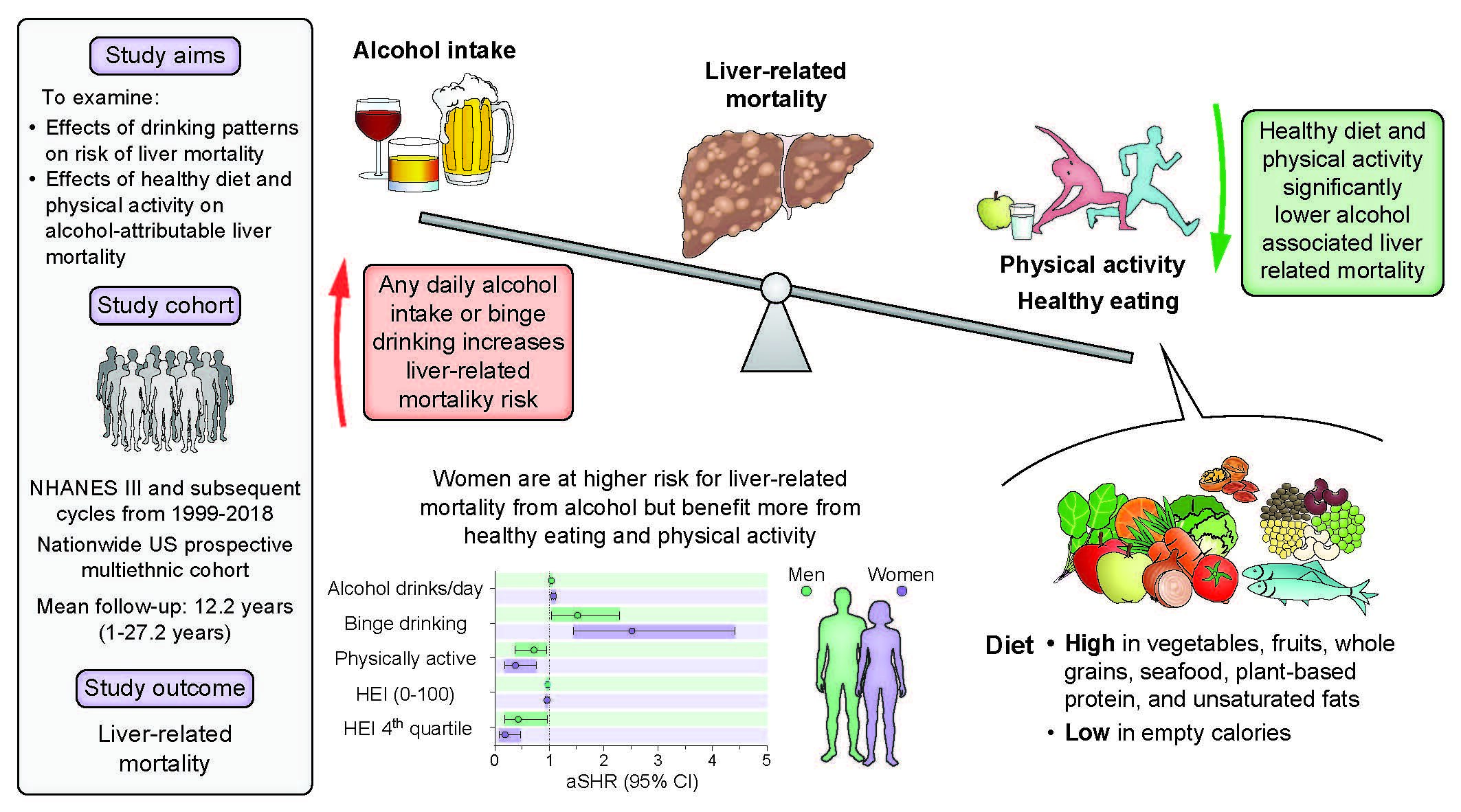 L'étude révèle des effets bénéfiques de l'alimentation et de l'exercice sur la santé du foie indésirable liée à l'alcool