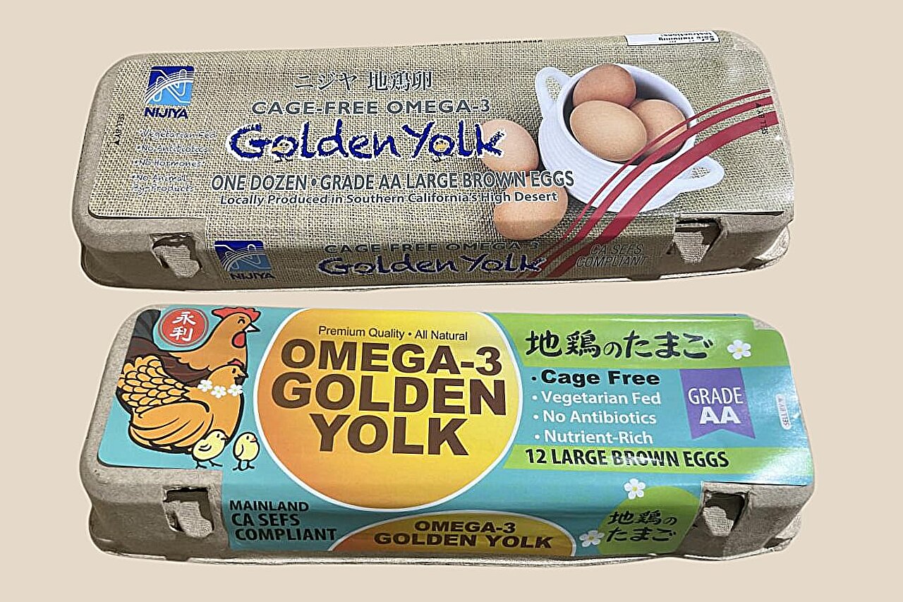 Au moins 95 épidémises malades de Salmonella liées aux œufs rappelés