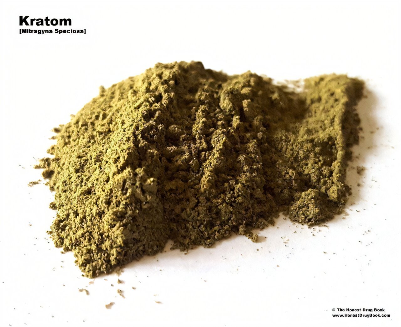 Kratom fait face à un examen minutieux des États et des autorités