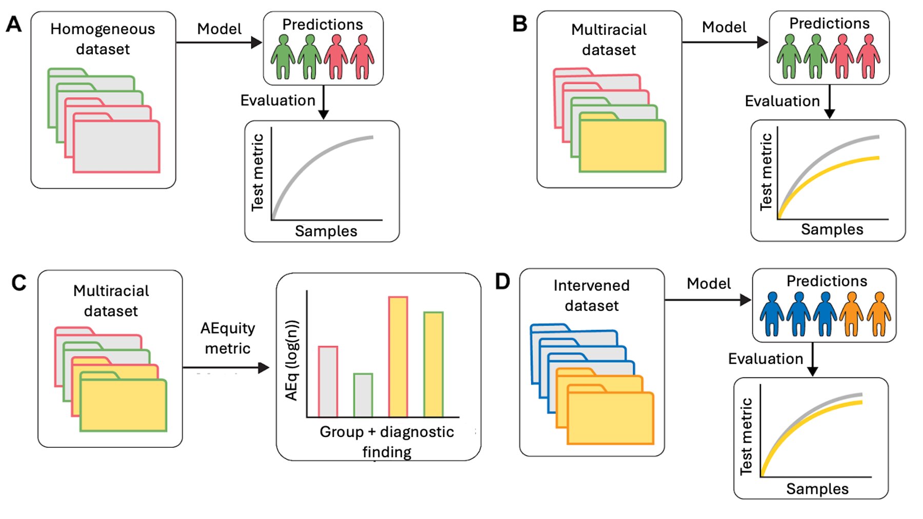 Un nouvel outil d'IA aborde la précision et l'équité des données pour améliorer les algorithmes de santé