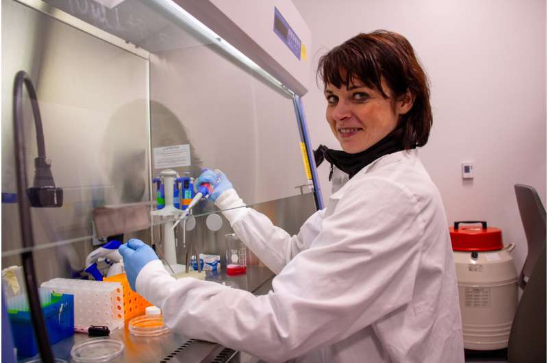 Ce que le raidissement du tissu pulmonaire révèle sur les premiers stades de la fibrose