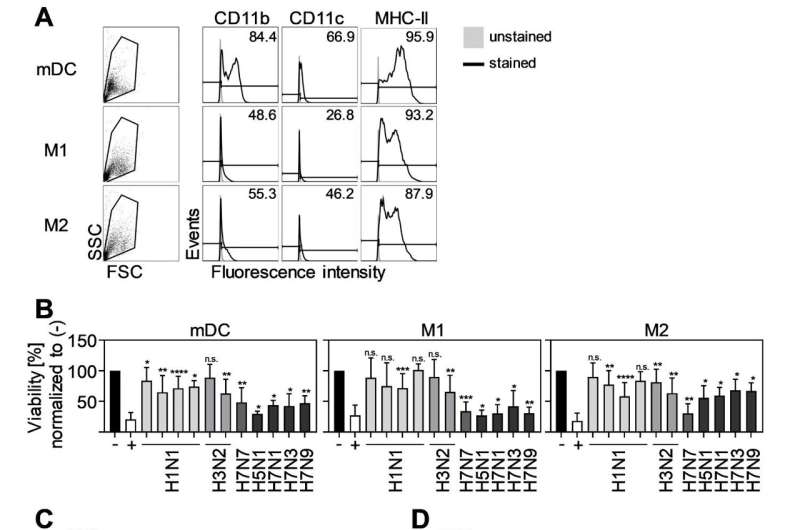 Pourquoi certains virus de la grippe sont plus dangereux que d'autres