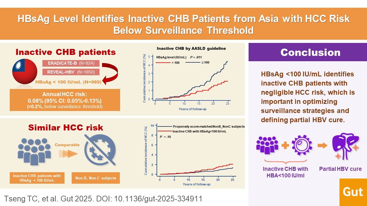 Les niveaux d'antigène de surface à faible hépatite B signalent un risque minimal de cancer du foie, redéfinir 'cure partielle'
