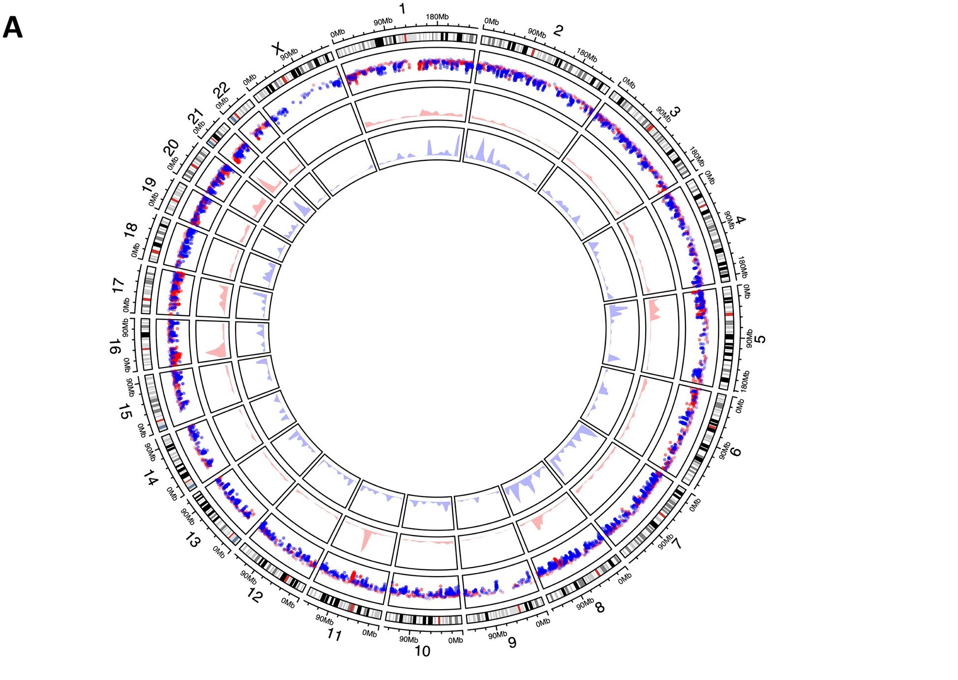 Une nouvelle façon de détecter l'ADN tumoral dans l'urine peut identifier le cancer de la vessie