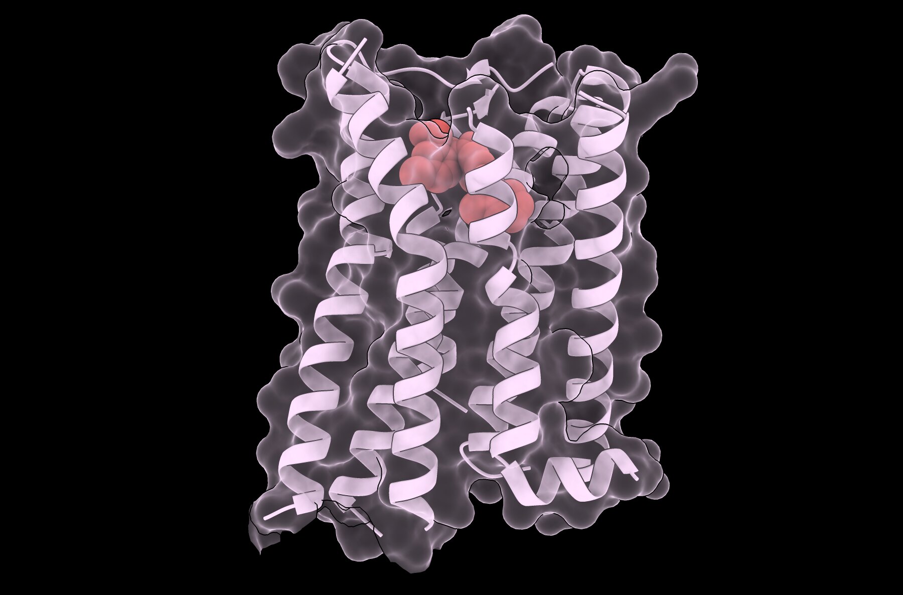 Un seul médicament fournit une première preuve de chaperon pharmacologique «presque universel» pour une maladie rare