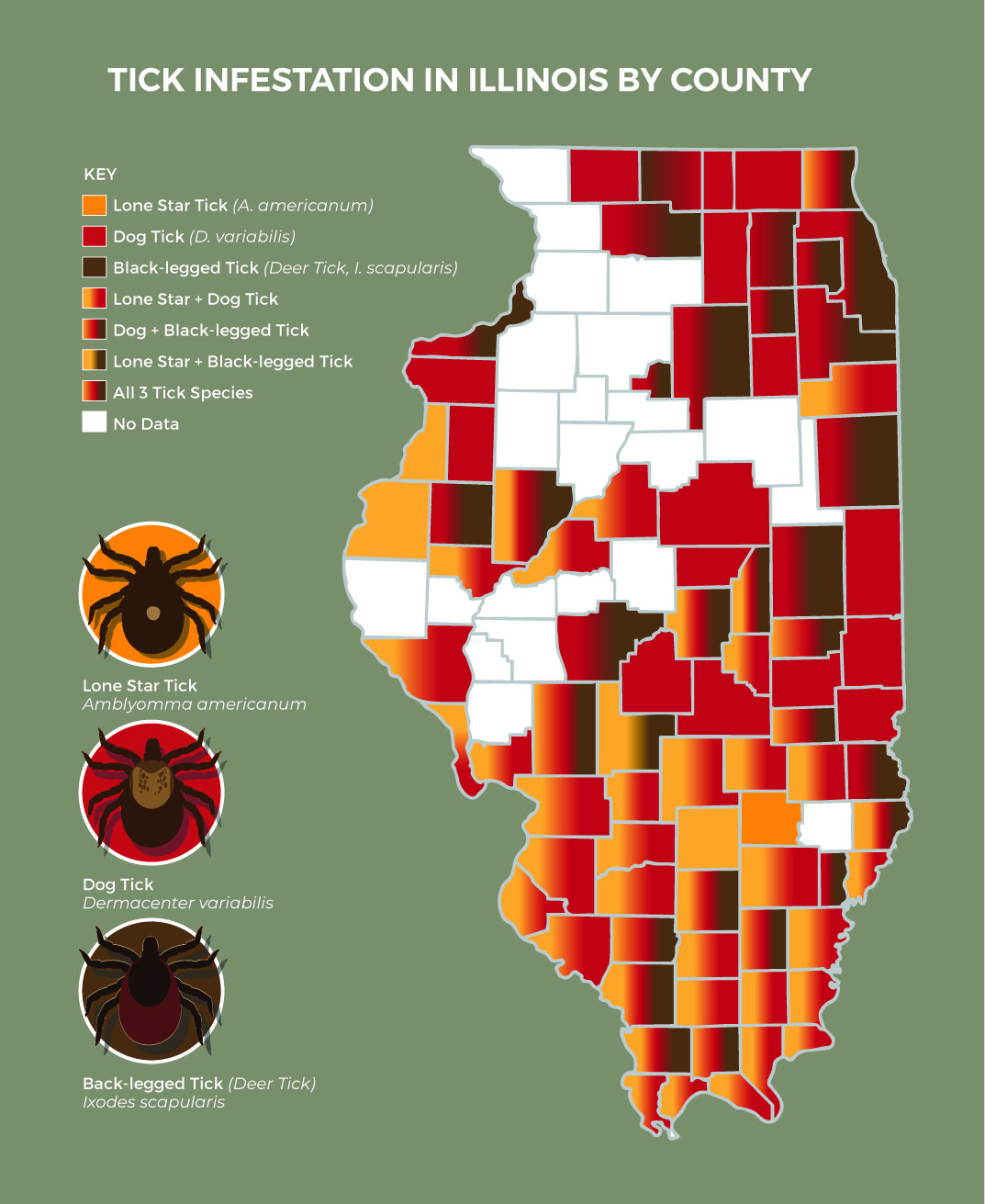 L'étude identifie les points chauds des tiques porteurs de la maladie dans l'Illinois