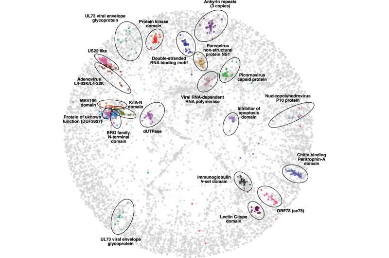 Les scientifiques lancent la base de données de protéines du virus humain le plus complet du monde