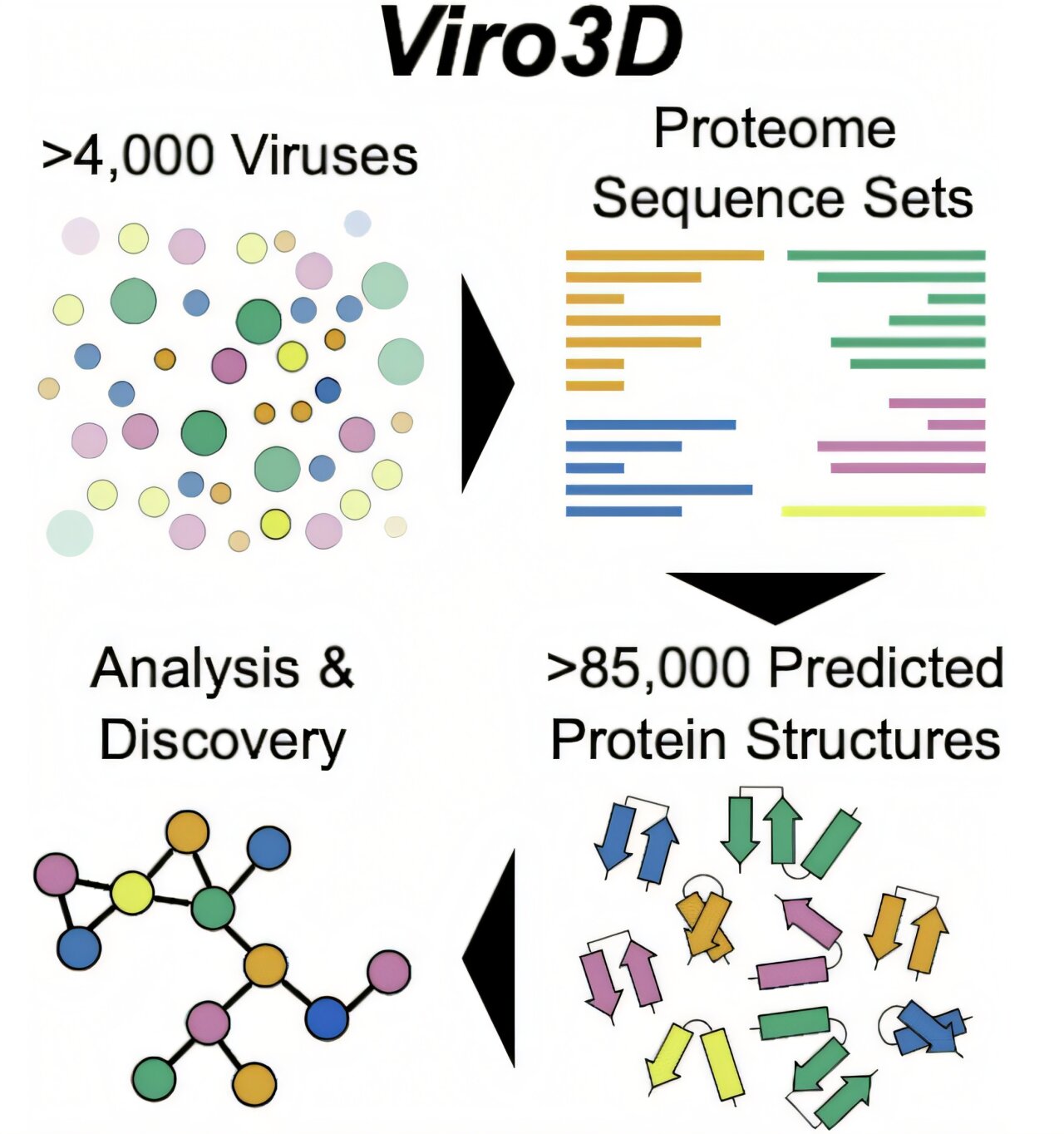 Les scientifiques lancent la base de données de protéines du virus humain le plus complet du monde