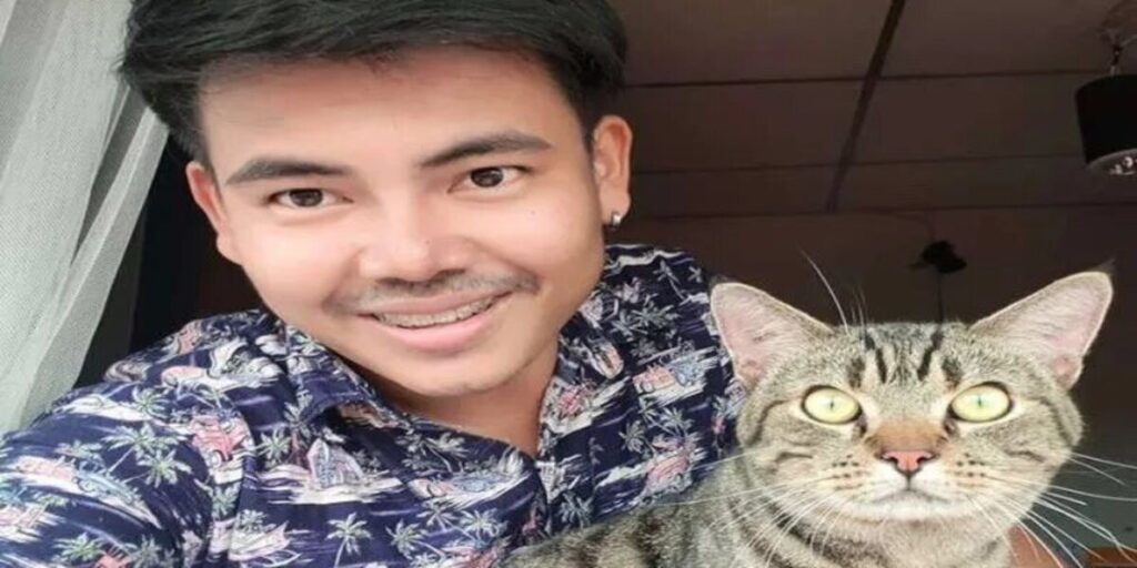 Chat couché paisiblement dans son panier