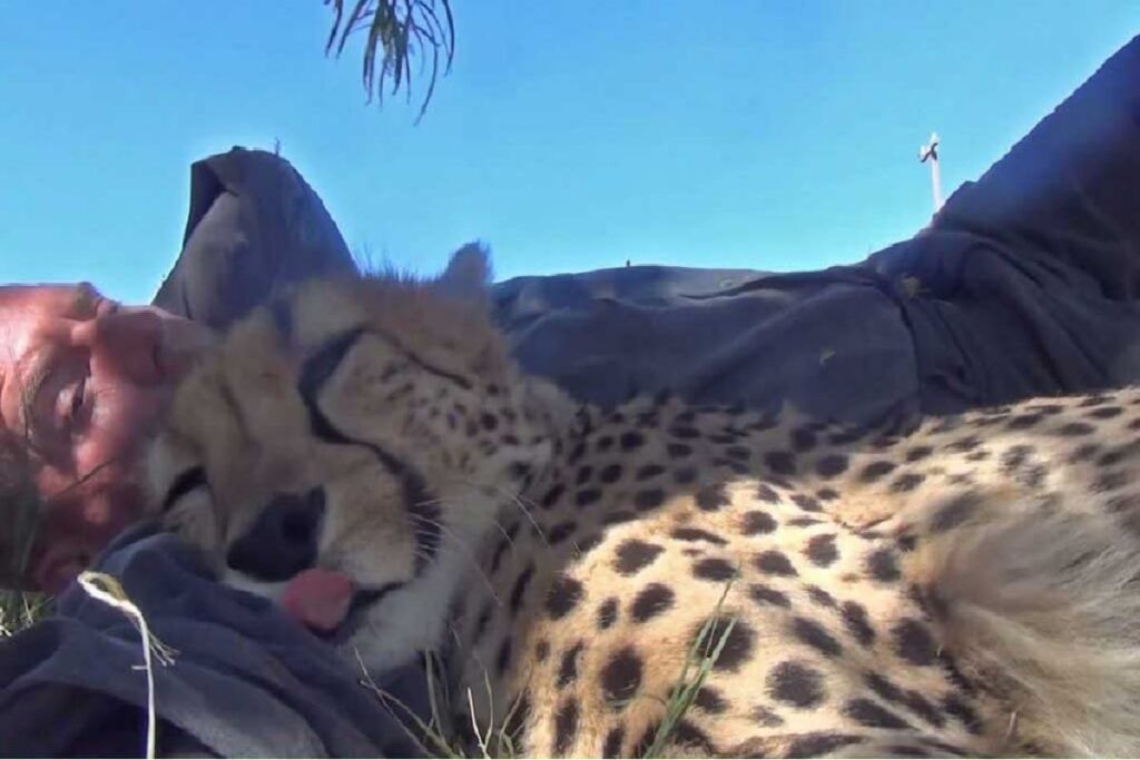 Moments de tendresse capturés