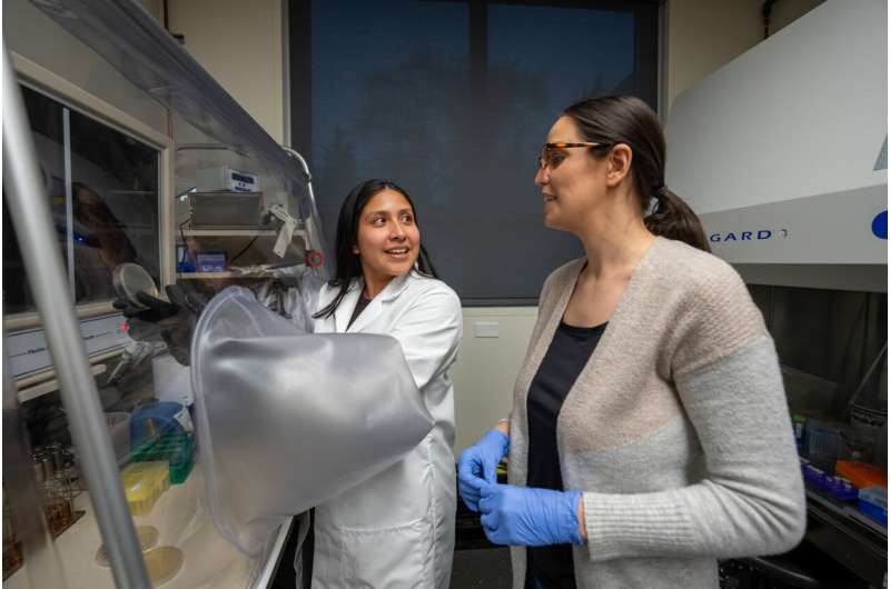 La combinaison à deux médicaments est prometteuse d'aider à guérir les blessures chroniques