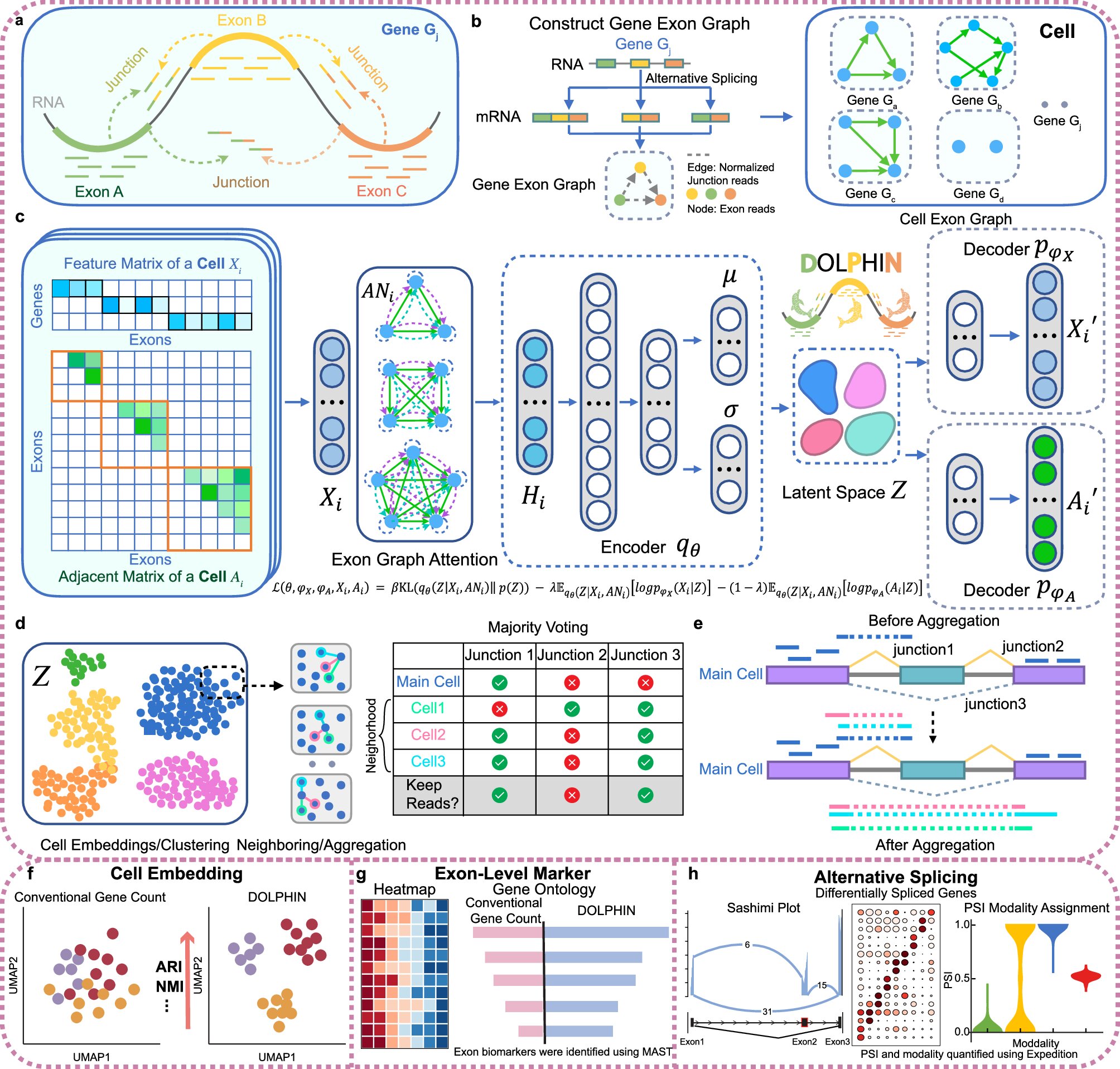 L'outil d'IA détecte les signes d'avertissement cachés de la maladie en analysant les blocs de construction génétiques dans les cellules
