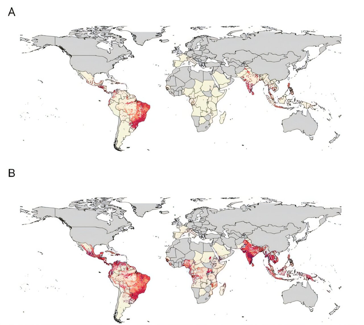 L'Inde pourrait supporter le plus grand impact de Chikungunya, suggèrent de nouvelles cartes