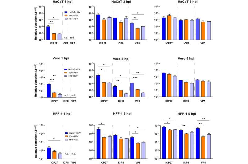 Dans de nouvelles recherches, les scientifiques de l'État du Montana explorent comment les virus se répliquent et infectent