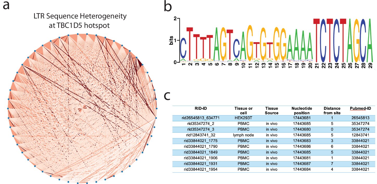 Des échantillons de tissus rares révèlent où le VIH se cache dans différentes parties du corps