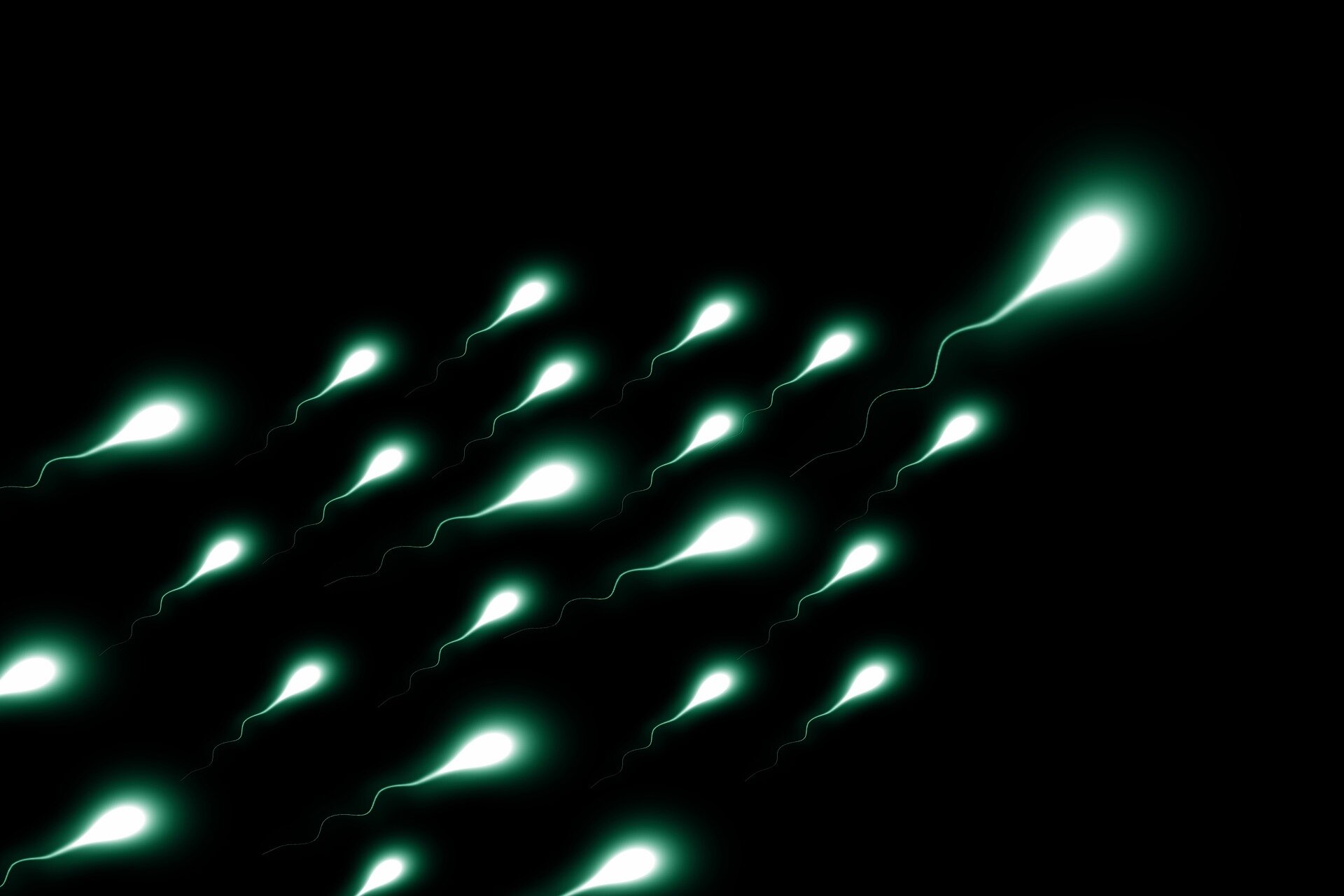 L'évolution cachée des spermatozoïdes augmente le risque de maladie chez les enfants à mesure que les hommes vieillissent