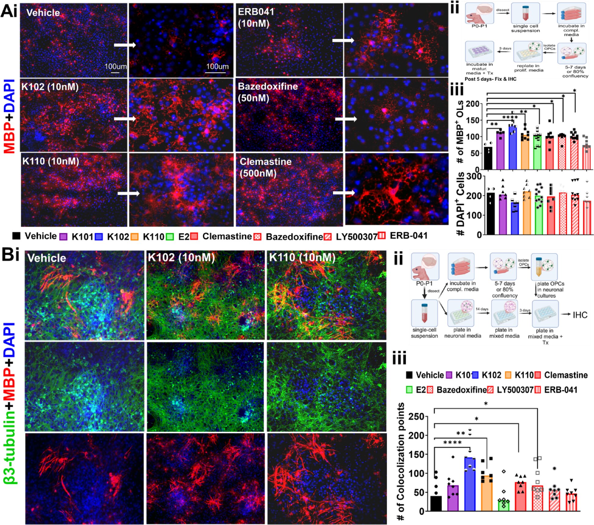 Deux composés expérimentaux pourraient bénéficier aux personnes atteintes de sclérose en plaques