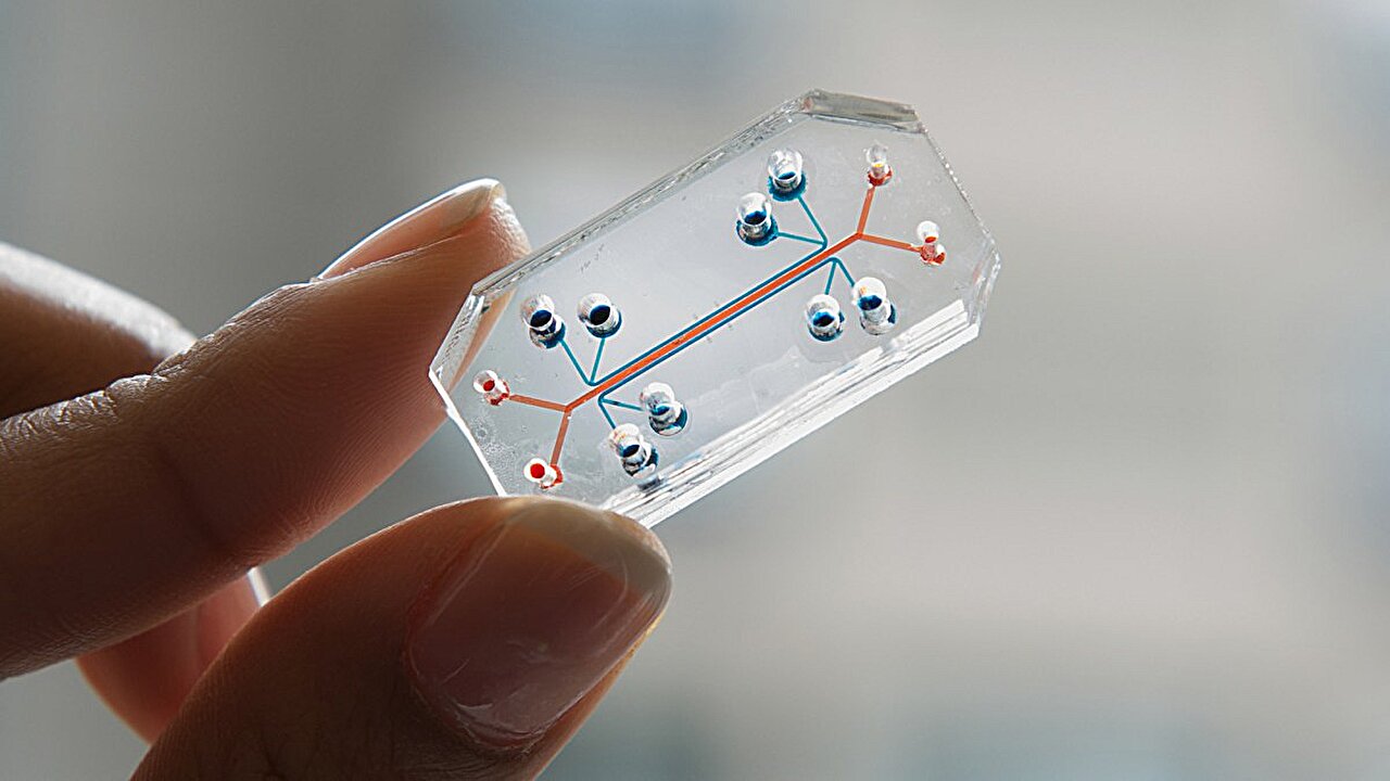 Une maladie plus courante que l’asthme ou le diabète, mais souvent ignorée