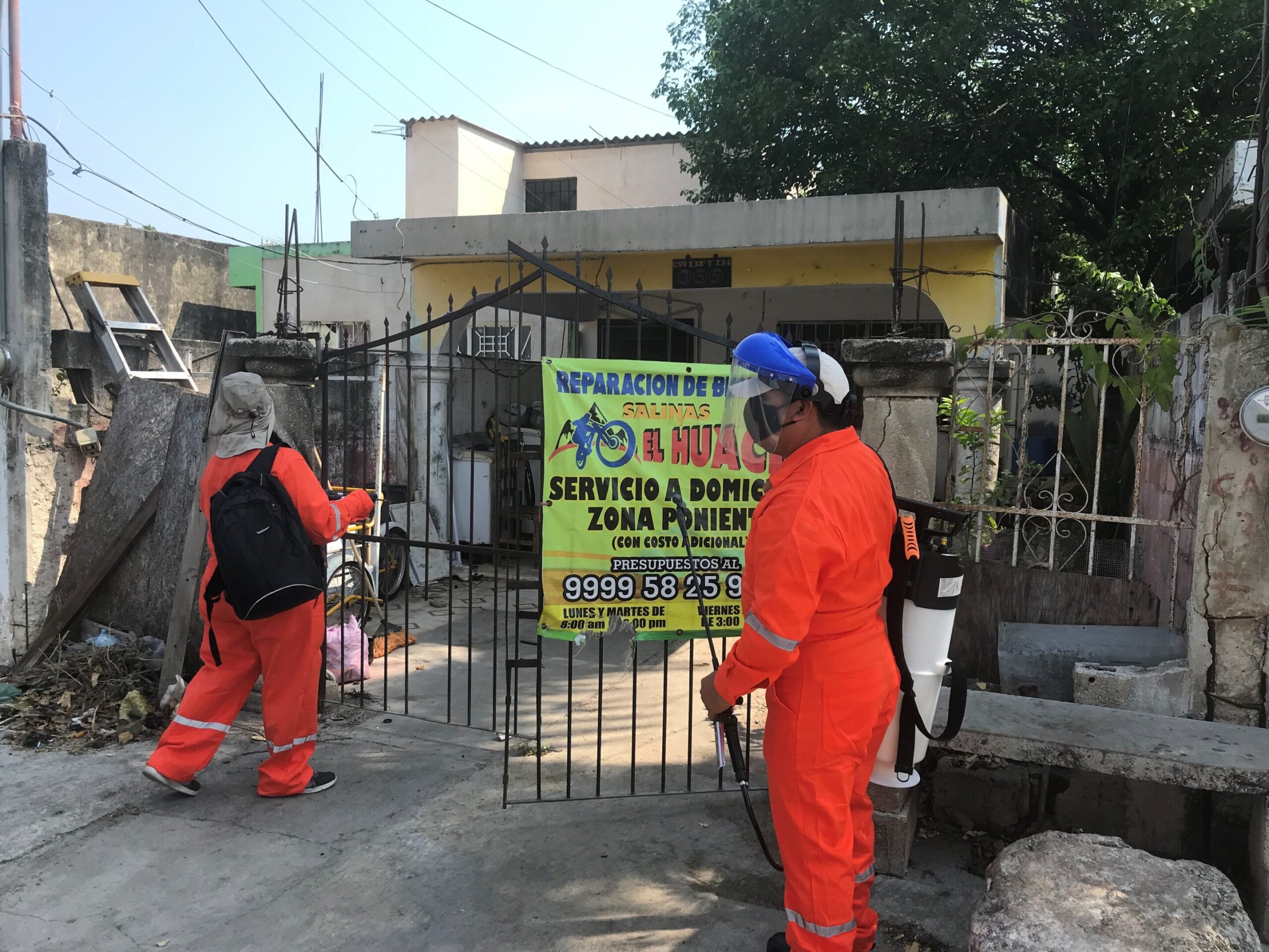 Un test majeur d'une nouvelle méthode de contrôle du moustique de la dengue montre un bénéfice pour la santé communautaire