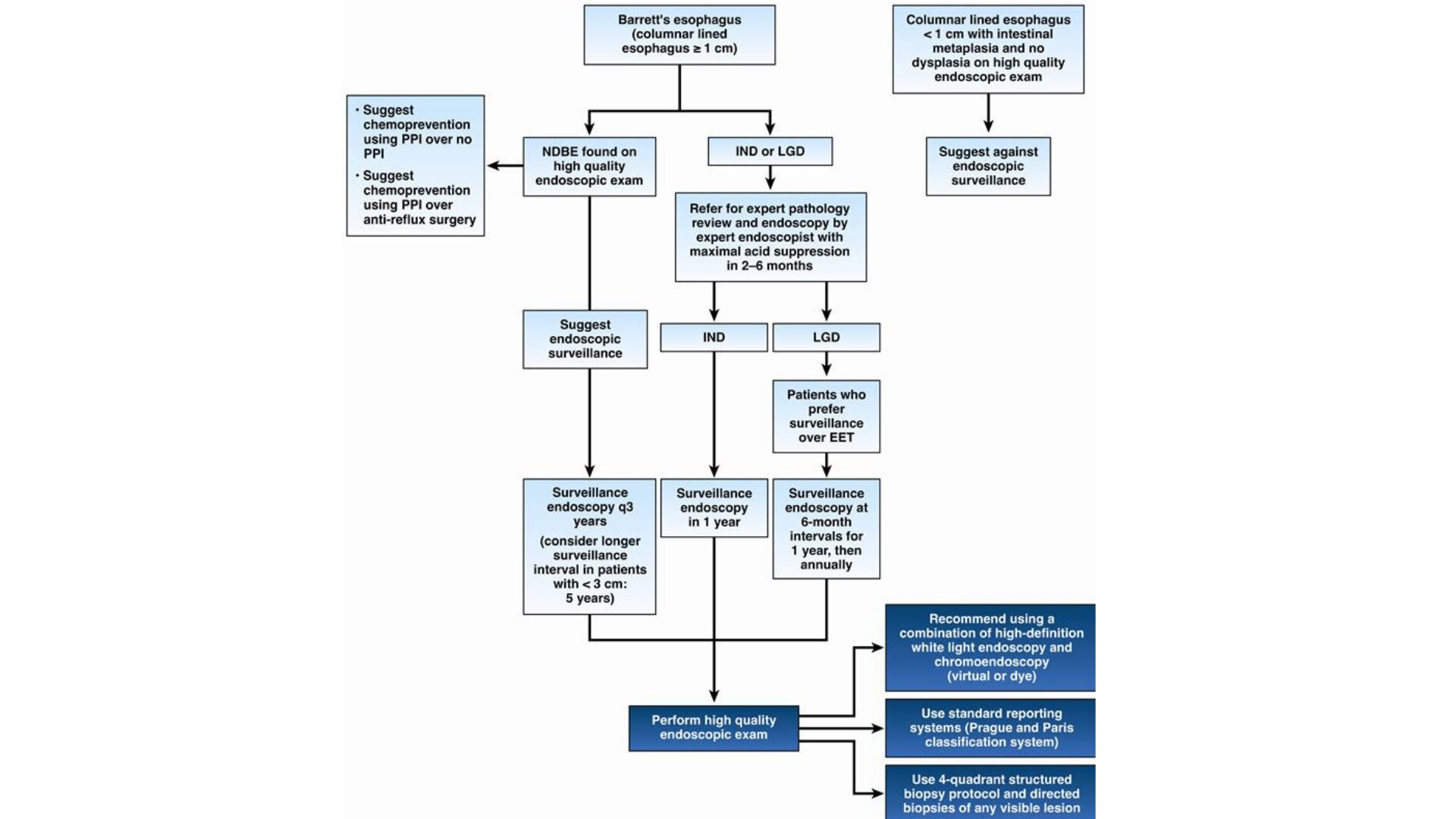 Les experts recommandent une surveillance basée sur les risques alors que les soins de l'œsophage de Barrett vont au-delà d'une solution unique