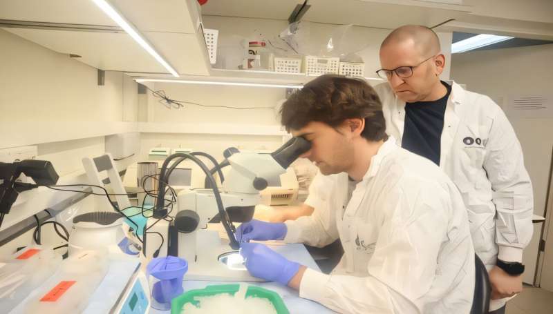 Un nouveau mécanisme biologique stimule la production de myéline dans le cerveau