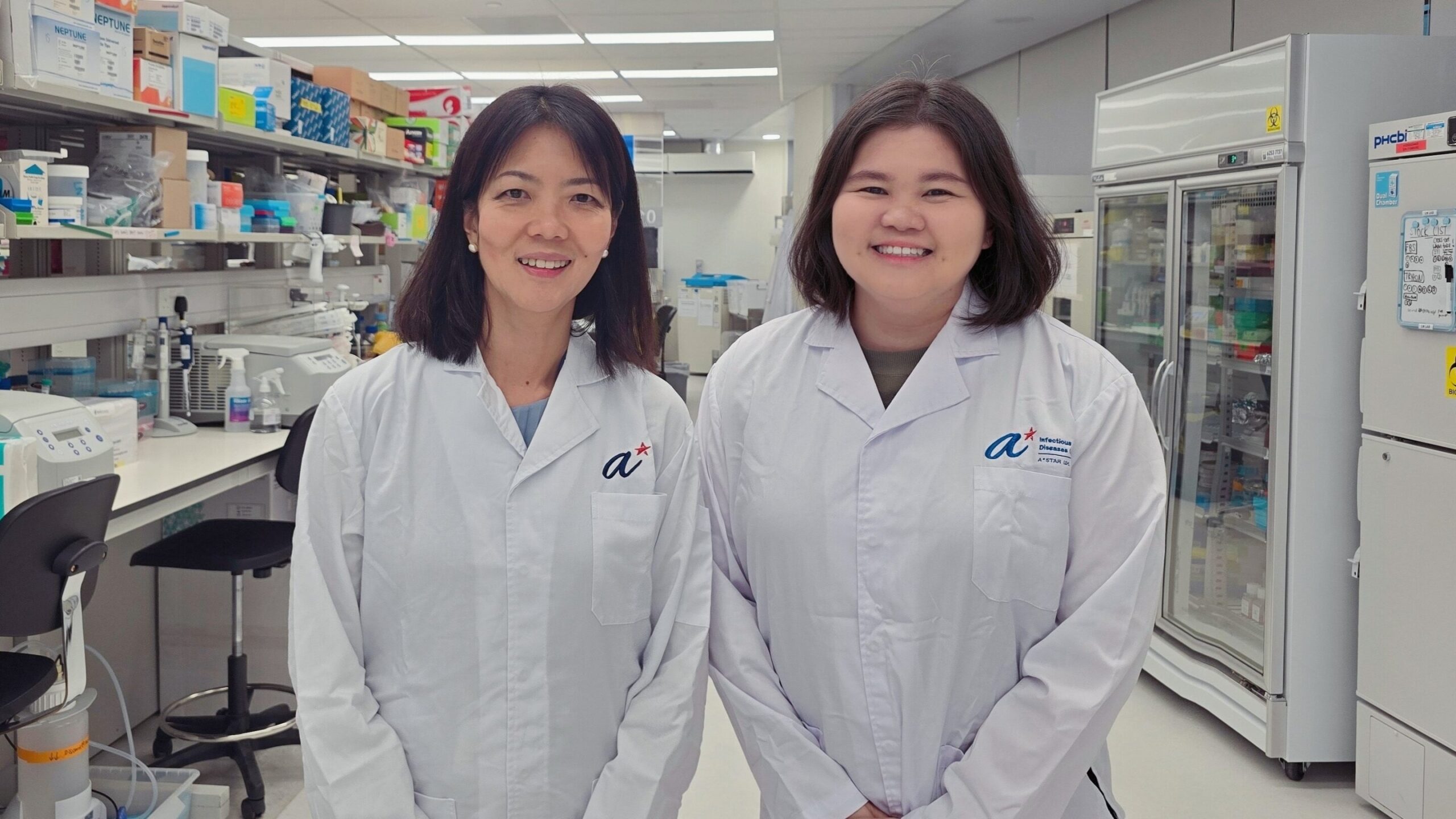 La salive des moustiques pourrait contenir des indices sur la lutte contre l'inflammation du chikungunya