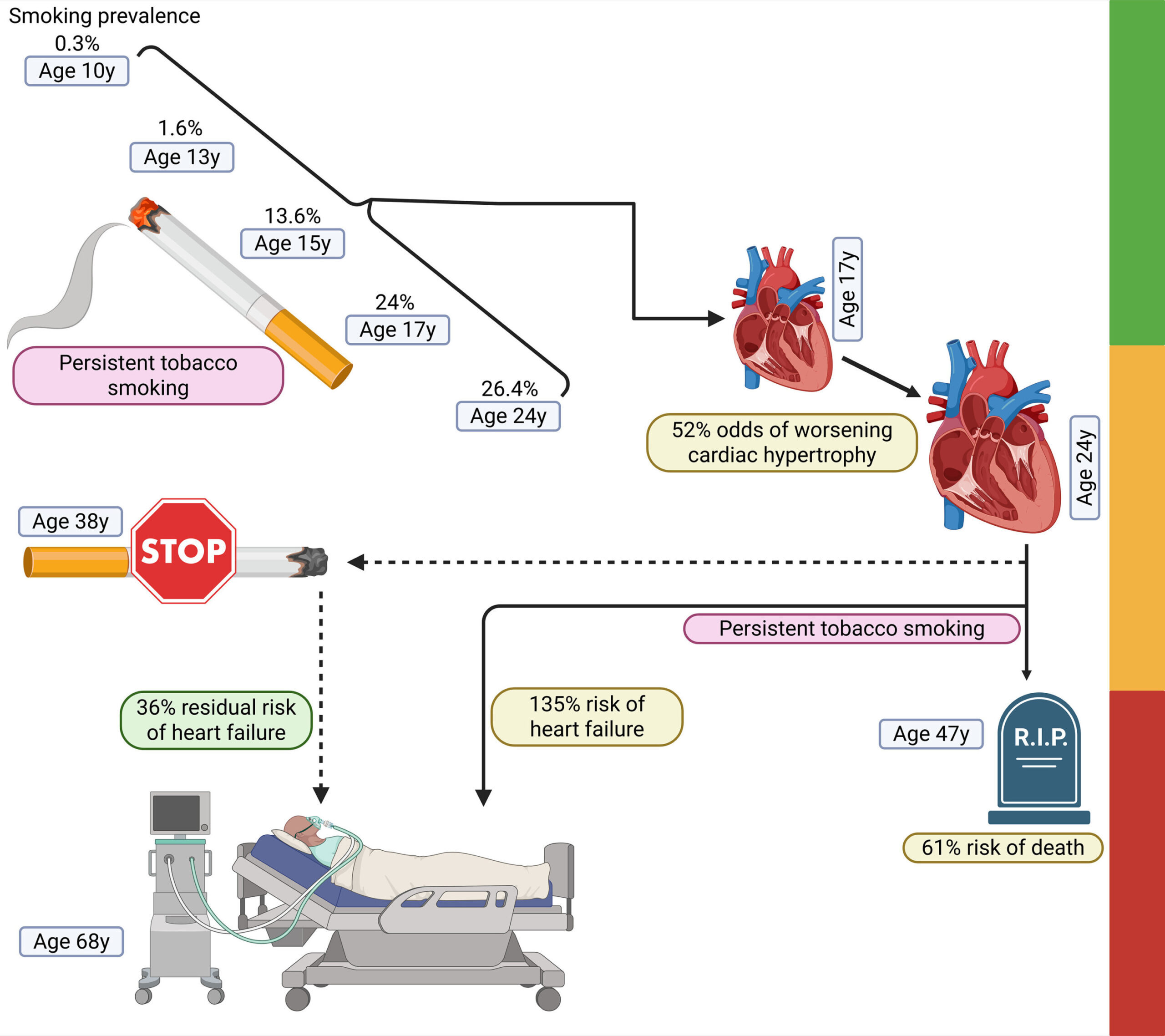 Le tabagisme pendant l'enfance associé à des lésions cardiaques prématurées, à une insuffisance cardiaque et à une mort subite