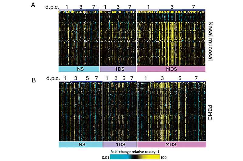 Les volontaires infectés volontairement par la grippe A présentaient différents modes d'expulsion des virus dans l'environnement