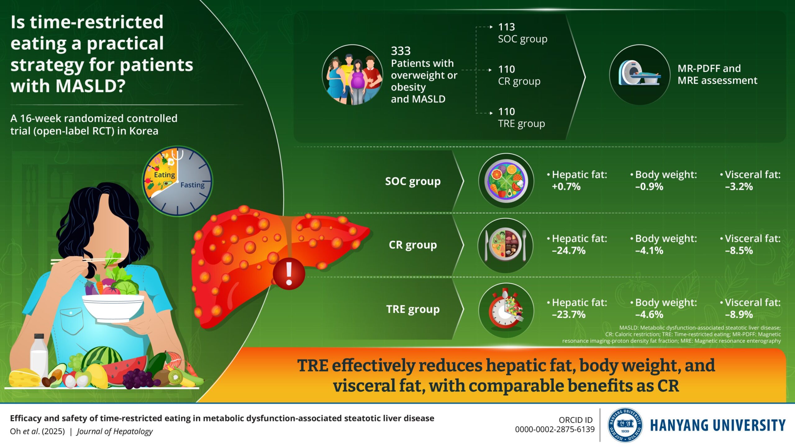 Explorer le rôle de l'alimentation limitée dans le temps dans le contrôle de la maladie hépatique stéatosique associée au dysfonctionnement métabolique