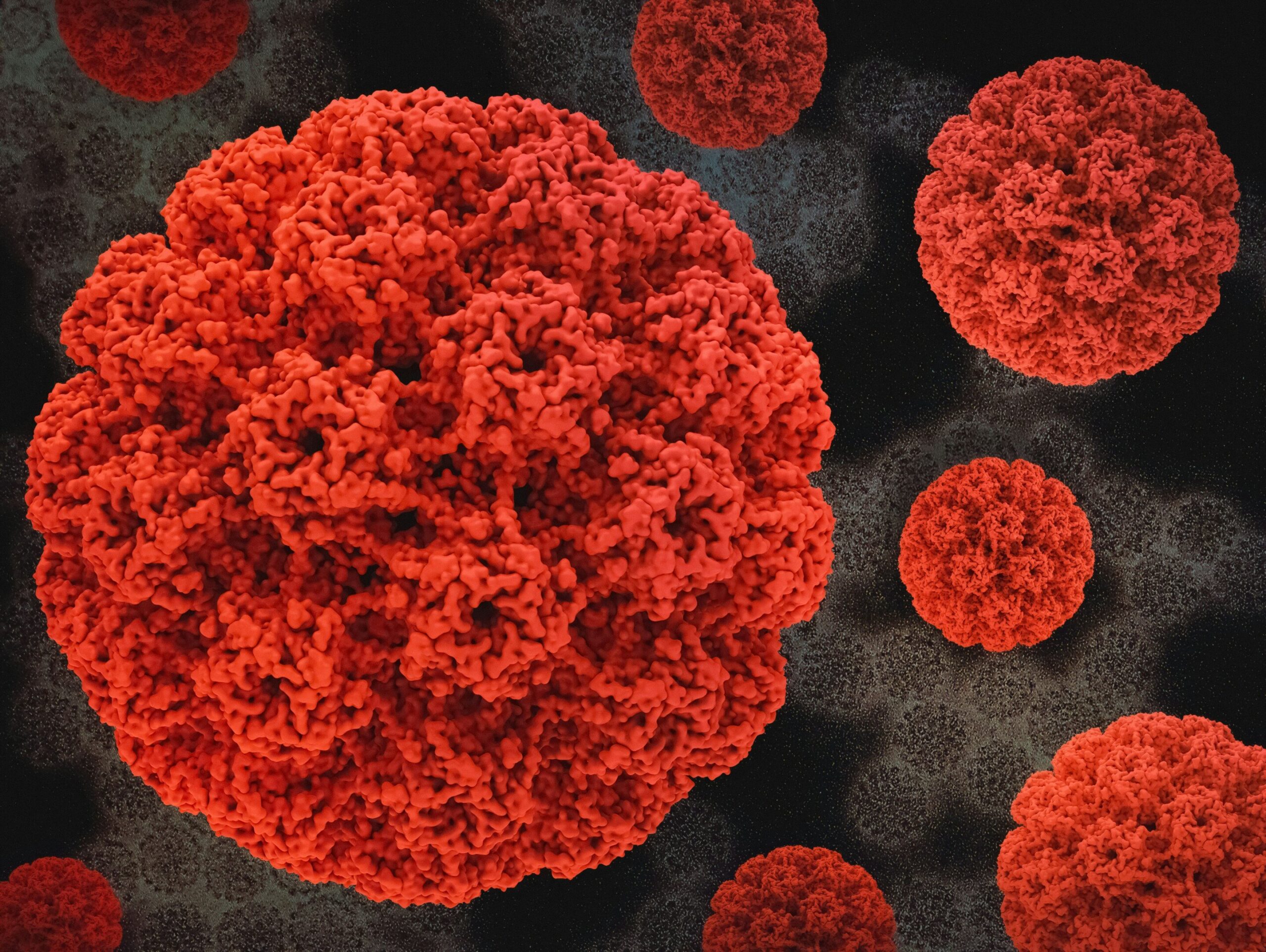 Le refus des parents menace la protection contre le VPH