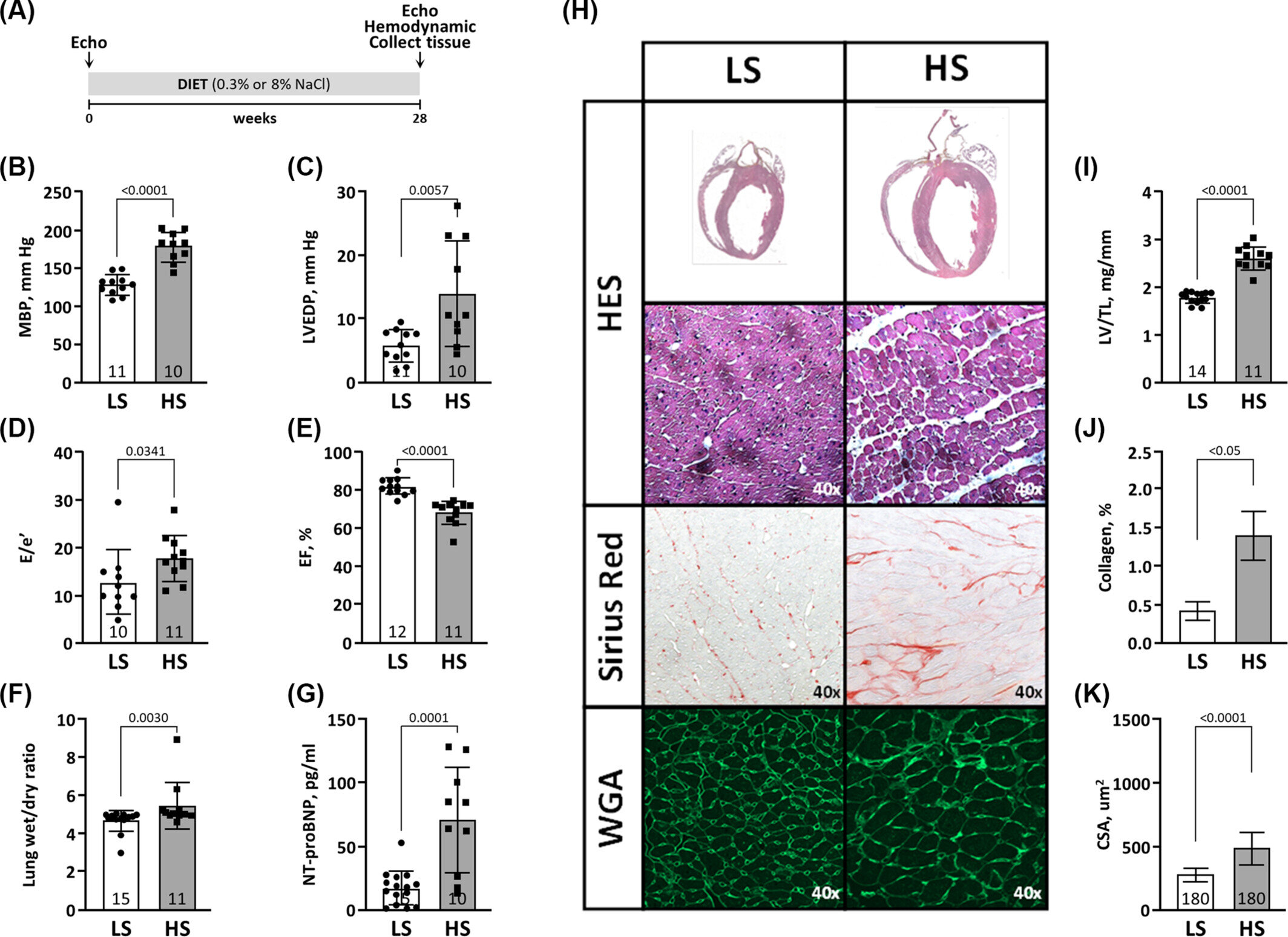 Les biomarqueurs basés sur l'ARN pourraient faciliter la détection de l'insuffisance cardiaque chez les femmes